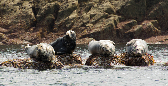 Scilly-20130712-661