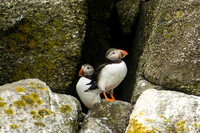 Scilly-20130712-593
