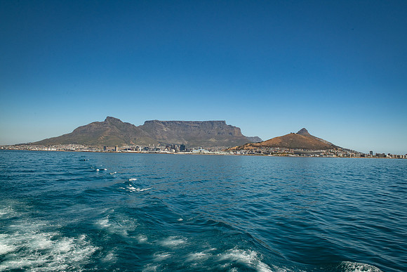 163-SA-20181108-1349.jpg