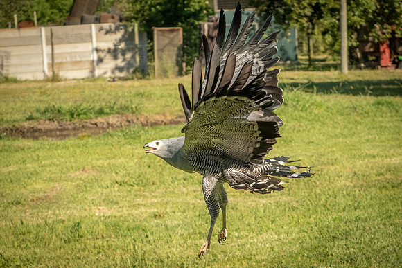 210-SA-20181110-1473.jpg