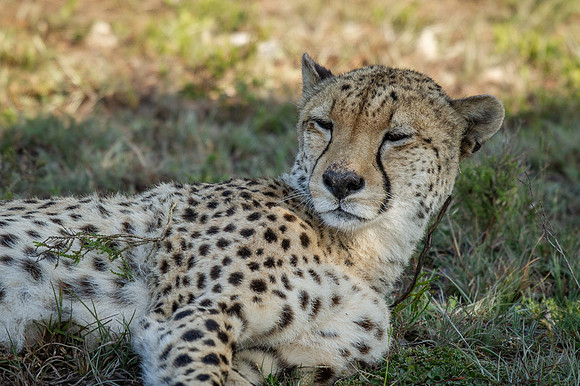 342-SA-20181116-777.jpg