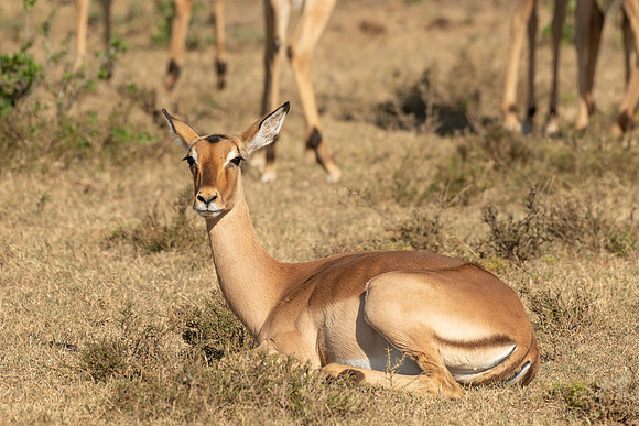 408-SA-20181117-2257.jpg
