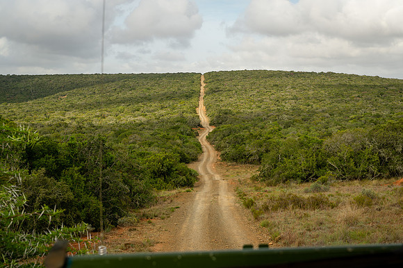 430-SA-20181118-976.jpg