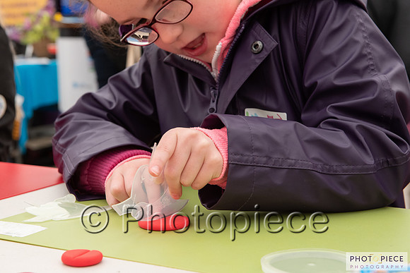 BtF_D8-20190504-082.jpg