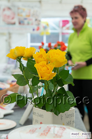 BtF_D8-20190504-224.jpg